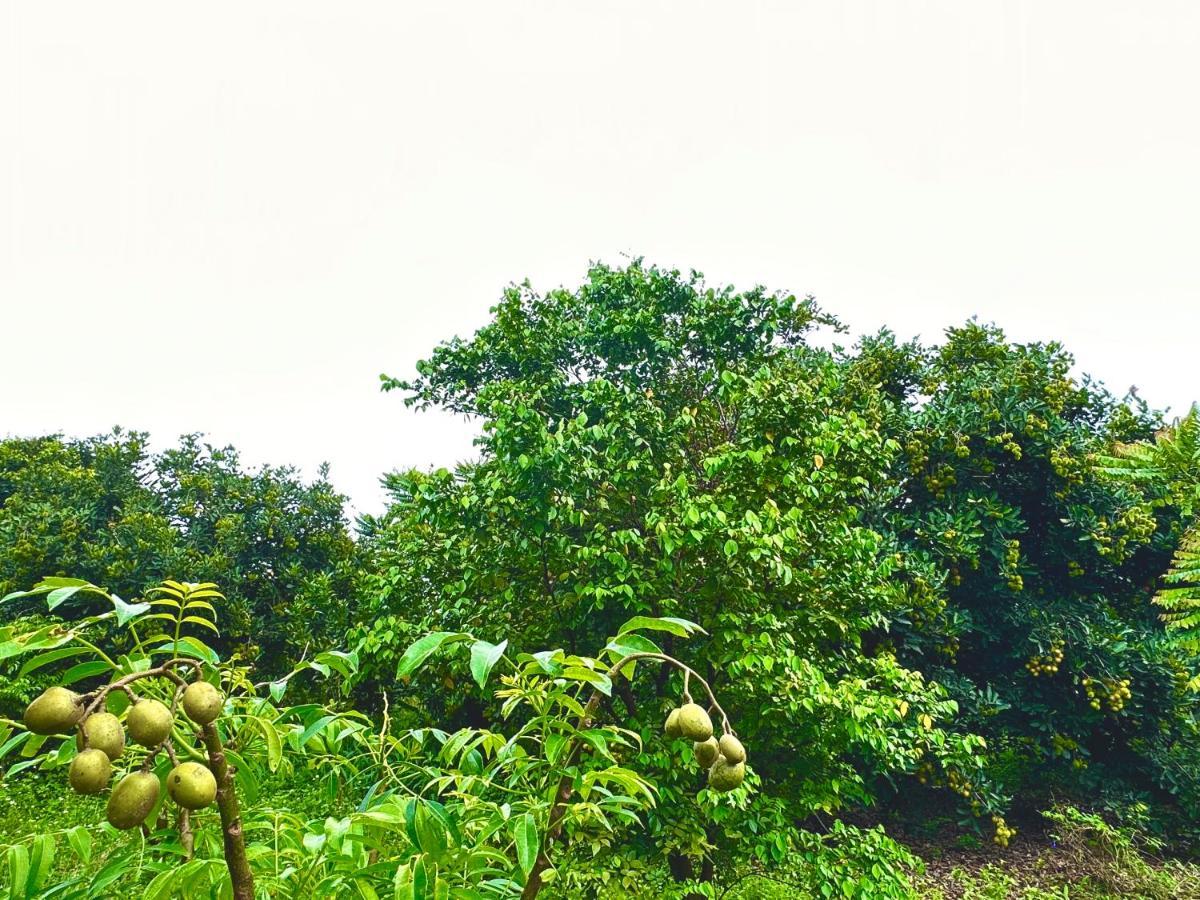 Ben Ho Homestay Xa Gia Tan Exterior foto